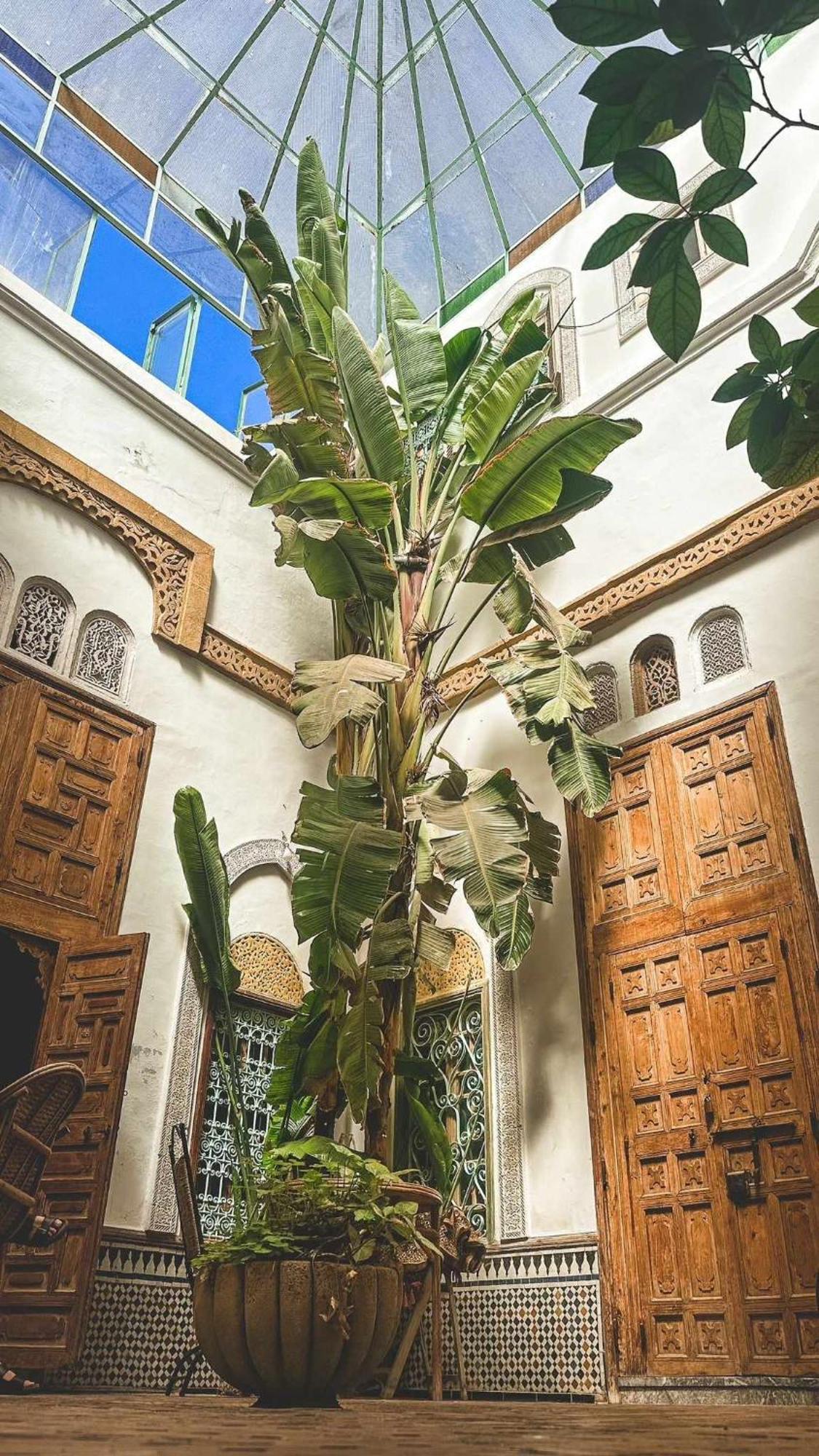 Riad Kasbah 라바트 객실 사진